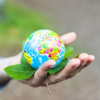 Como devastação e aquecimento podem fazer Brasil deixar de ser potência agrícola global.