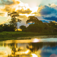 O Estatuto do Pantanal: Desafios e Especificidades de um ambiente em constante modificação